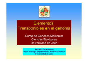 Elementos Transponibles en el genoma