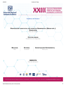 Propagación vegetativa por hojas de Siempreviva