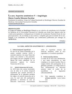 La cara. Aspectos anatómicos V - Universidad Nacional de Colombia