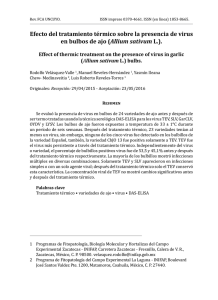 Efecto del tratamiento térmico sobre la presencia de virus en bulbos