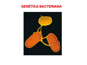 genética bacteriana - Genética y Biología Molecular