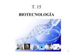 T.15.- Biotecnología