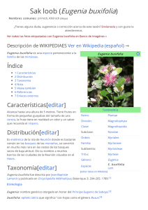 Sak loob (Eugenia buxifolia)