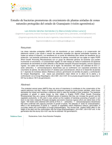 Descargar el archivo PDF - Universidad de Guanajuato