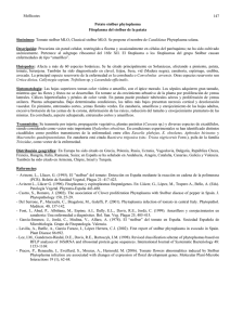 Potato stolbur phytoplasma