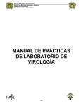 MANUAL DE PRÁCTICAS DE LABORATORIO DE VIROLOGÍA