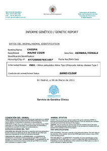 informe gen&eacute;tico / genetic report
