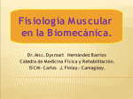 Fisiología Muscular en la Biomecánica