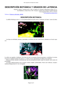 Descripción Botánica y Grados de Latencia