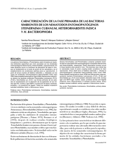 caracterización de la fase primaria de las bacterias simbiontes de