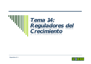 Tema 14