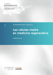 Las células madre en medicina regenerativa