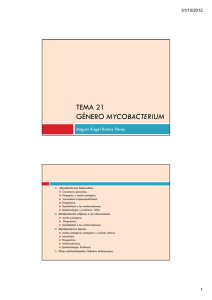 Género Mycobacterium. Mycobacterium tuberculosis
