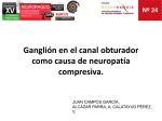 Diapositiva 1 - Neuro
