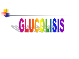 reacciones de la glucolisis