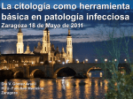 La citología como herramienta básica en patología infecciosa