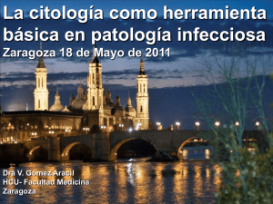 La citolog&iacute;a como herramienta b&aacute;sica en patolog&iacute;a infecciosa