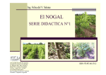 El Nogal Serie Didáctica Nº 1 - Editorial Cientifica Universitaria