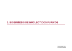 3. biosintesis de nucleotidos puricos - OCW Usal