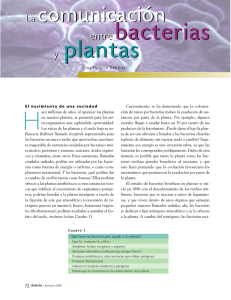 La comunicación entre bacterias y plantas