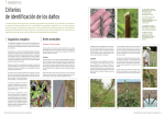 Métodos de identificación de los causantes de los daños