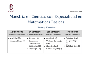 Plan de estudios de la Maestría en Matemáticas Básicas