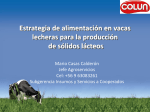 Estrategia de alimentación en vacas lecheras para la producción de