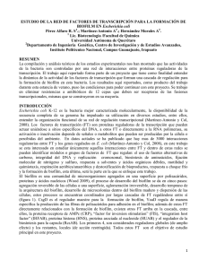 estudio de la red de factores de transcripción para la