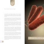 El camino de la gen&eacute;tica - Ciencia | UNAB