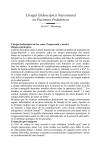 VI Manual IAPO guto Esp.indd