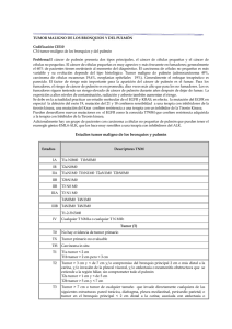 Estadíos tumor maligno de los bronquios y pulmón