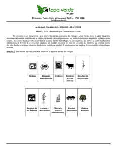 Copy of Plantas del refugio