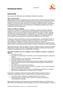 Salmonella, patientinformatin översatt till spanska
