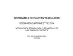SISTEMÁTICA DE PLANTAS VASCULARES SEGUNDO