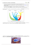 La vida que no vemos: Las bacterias