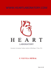 Válvula Mitral - Heart Laboratory