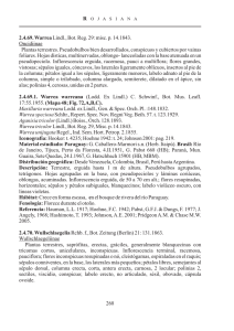 Orqu&iacute;deas Nativas del Paraguay