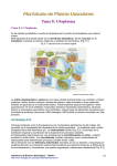 Tema 8: Citoplasma - Hipertextos del Área de la Biología