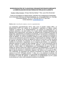biodegradación de plaguicidas organofosforados
