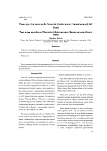 Dos especies nuevas de Senecio (Asteraceae: Senecioneae) del Perú