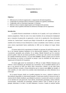 TP N° 3 - Genética