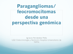 Paragangliomas/ feocromocitomas desde una perspectiva genómica