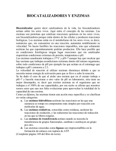 biocatalizadores y enzimas