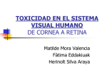 toxicidad en el sistema visual humano de cornea a retina