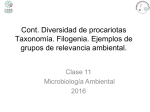 clase 11
