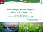 Biotecnología microbiana para cultivos con residuo cero (PDF 799