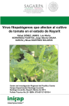 Virus fitopatógenos que afectan al cultivo de tomate en el