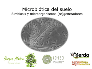 Microorganismos Teoría Bosque Madre