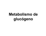 Metabolismo de glucógeno