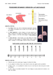 posiciones de manos y dedos en la flauta dulce notas de la escala de
